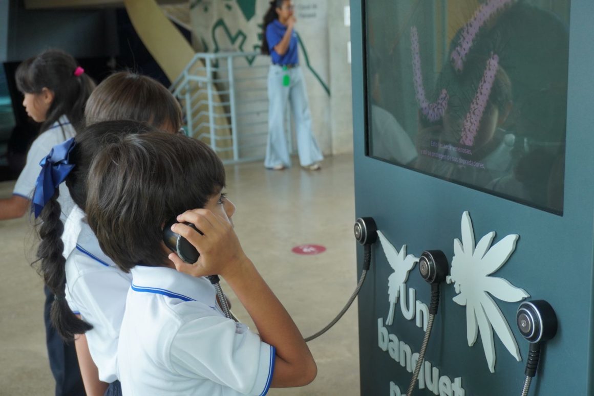 Biomuseo
